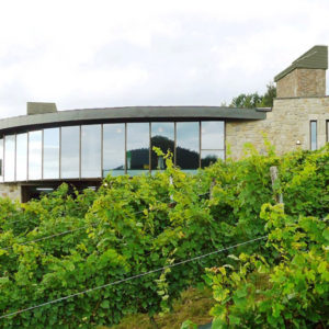 Berroja Upategia bisitatzea eta ardo-dastaketa