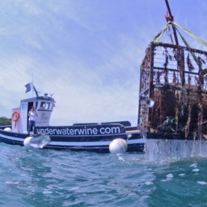 Crusoe Treasure Winery